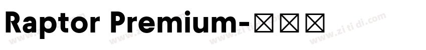 Raptor Premium字体转换